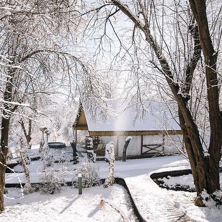 Chateau Ramšak, vineyard glamping resort Maribor Bagian luar foto