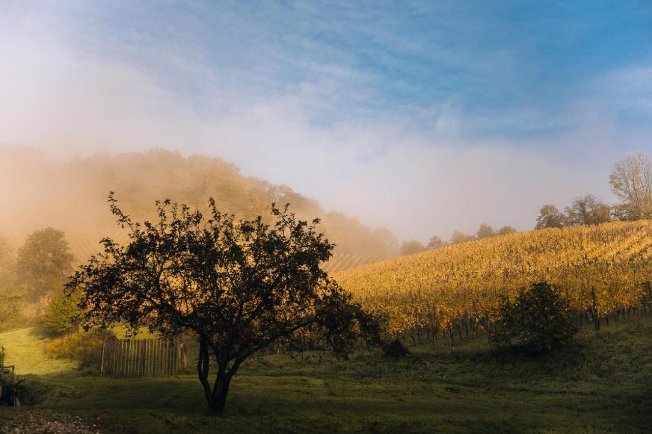 Chateau Ramšak, vineyard glamping resort Maribor Bagian luar foto