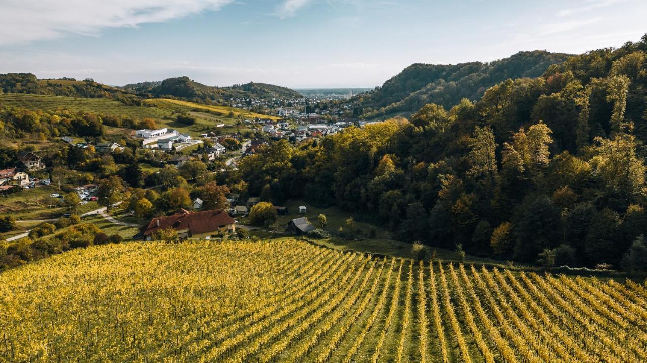 Chateau Ramšak, vineyard glamping resort Maribor Bagian luar foto