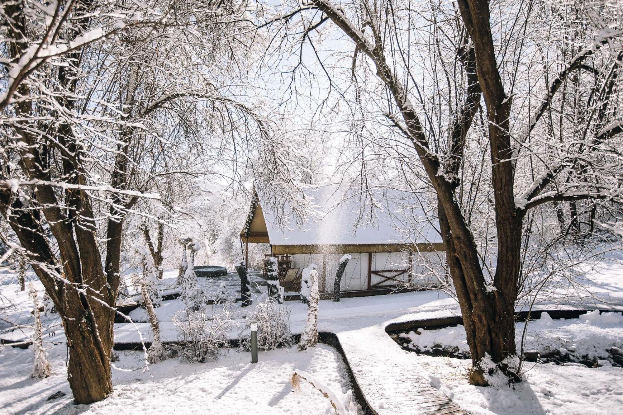 Chateau Ramšak, vineyard glamping resort Maribor Bagian luar foto